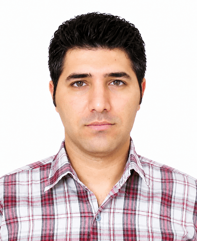 دکتر بهرام شیرینی — دکترای تخصصی راه و ترابری | مؤسسه شریف پیپر